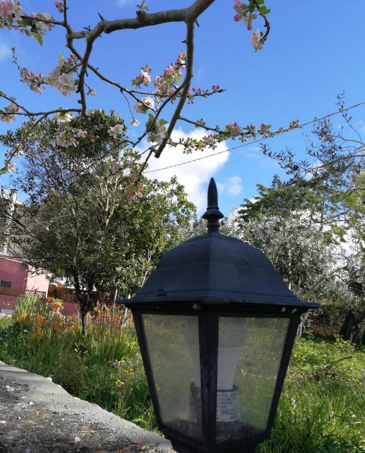 Albero Della Musica Bed & Breakfast Sassari Ngoại thất bức ảnh