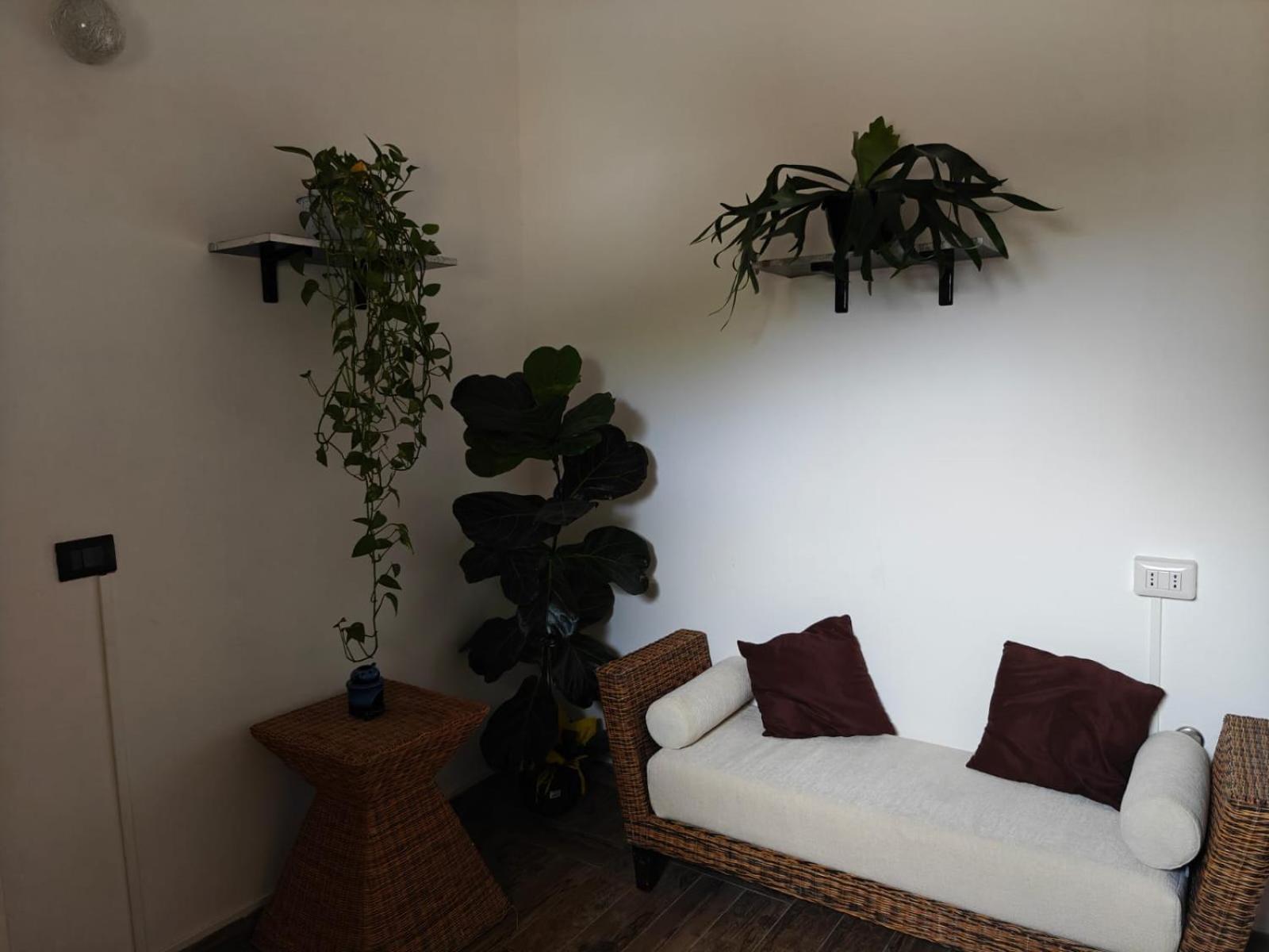 Albero Della Musica Bed & Breakfast Sassari Ngoại thất bức ảnh